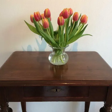 Hafen, Vilm & Bodden *